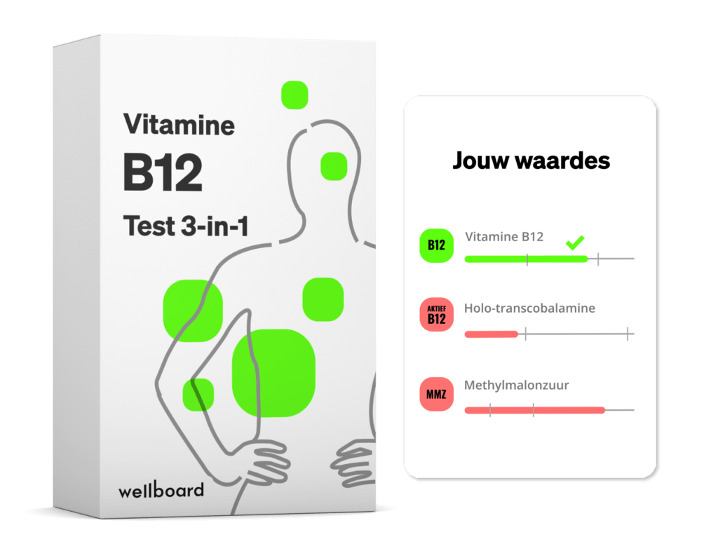 portemonnee Schrijft een rapport bagageruimte Vitamine B12 Test (3-in-1) - Wellboard